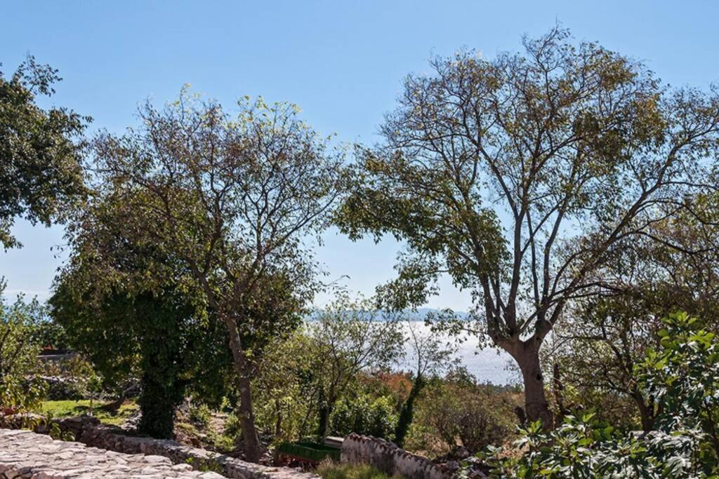 Peaceful Apartment With Beautiful Sea View Rabac Exterior photo