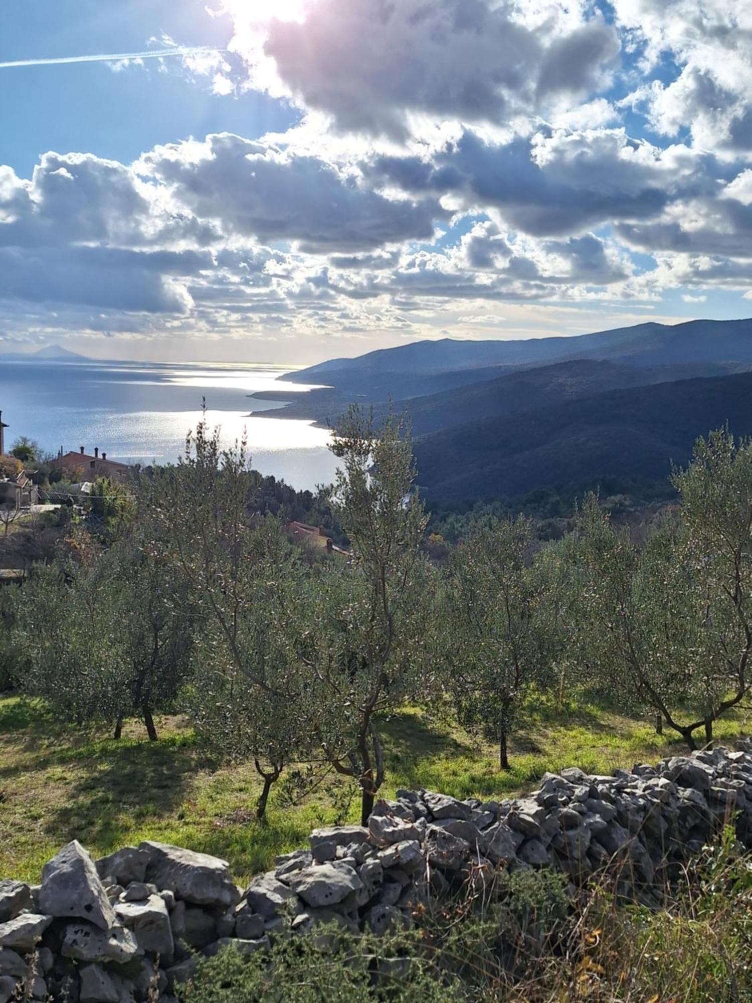 Peaceful Apartment With Beautiful Sea View Rabac Exterior photo